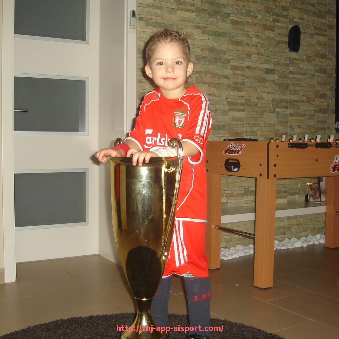 爱体育app-德甲球队关系图表大全详解及球队间联盟情况